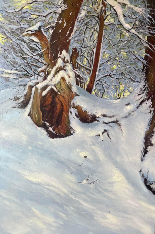 Winter silence