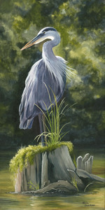 Blue Heron