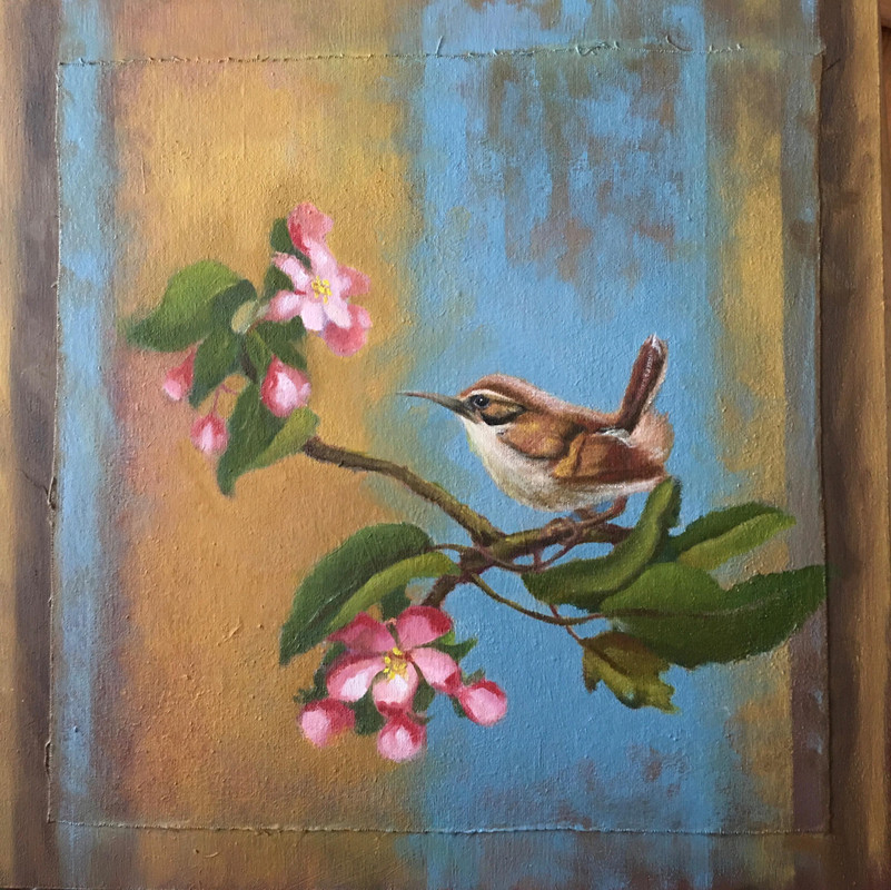 housewren
