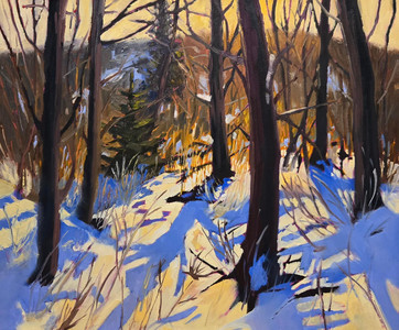 Shadows On The Creekbed