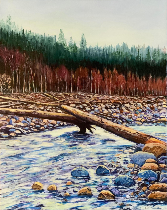 Fallen Logs