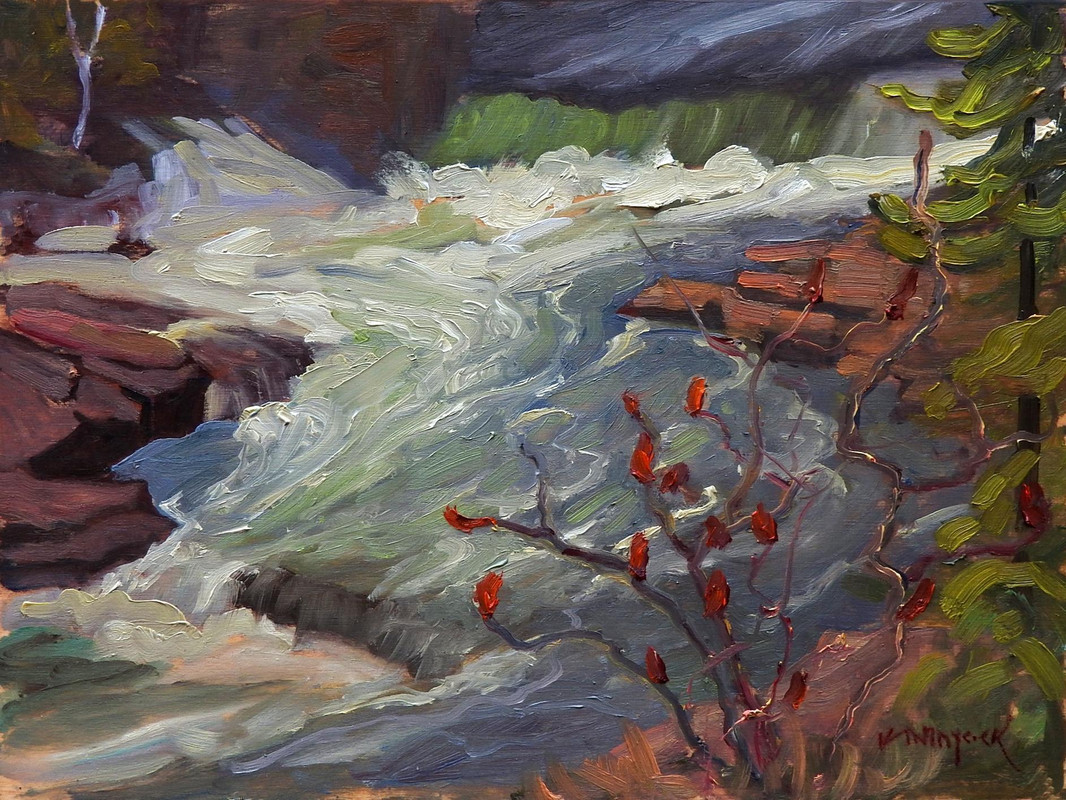 The Fourth Chute on the Bonnechere