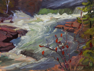 The Fourth Chute on the Bonnechere