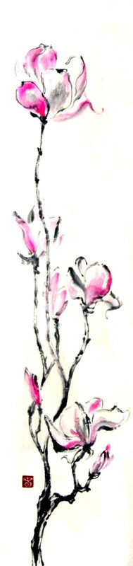 Sunshine on Magnolias