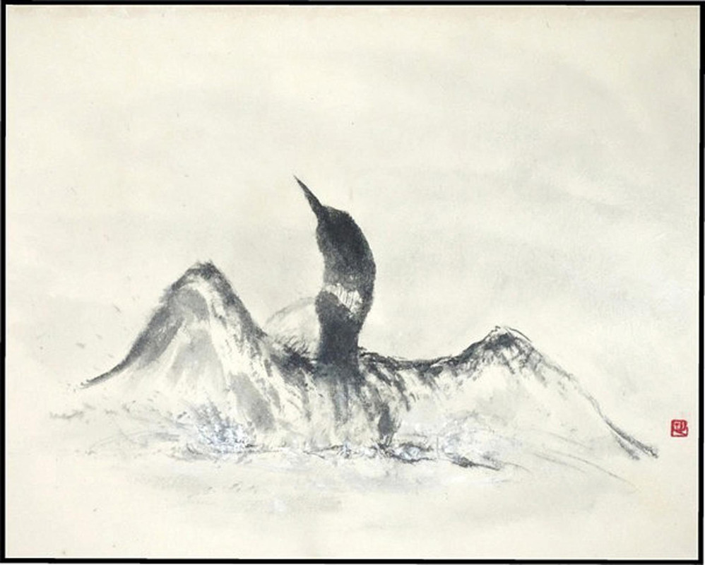 Splashes in the Mist