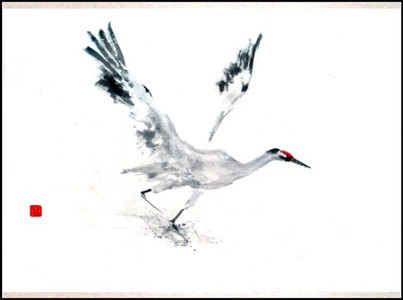 Sandhill Crane Taking Flight