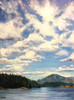 View #1