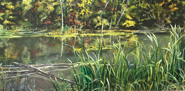 Reflections on the Credit River