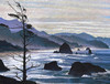 View #1