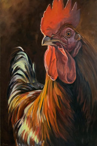 Red Rooster