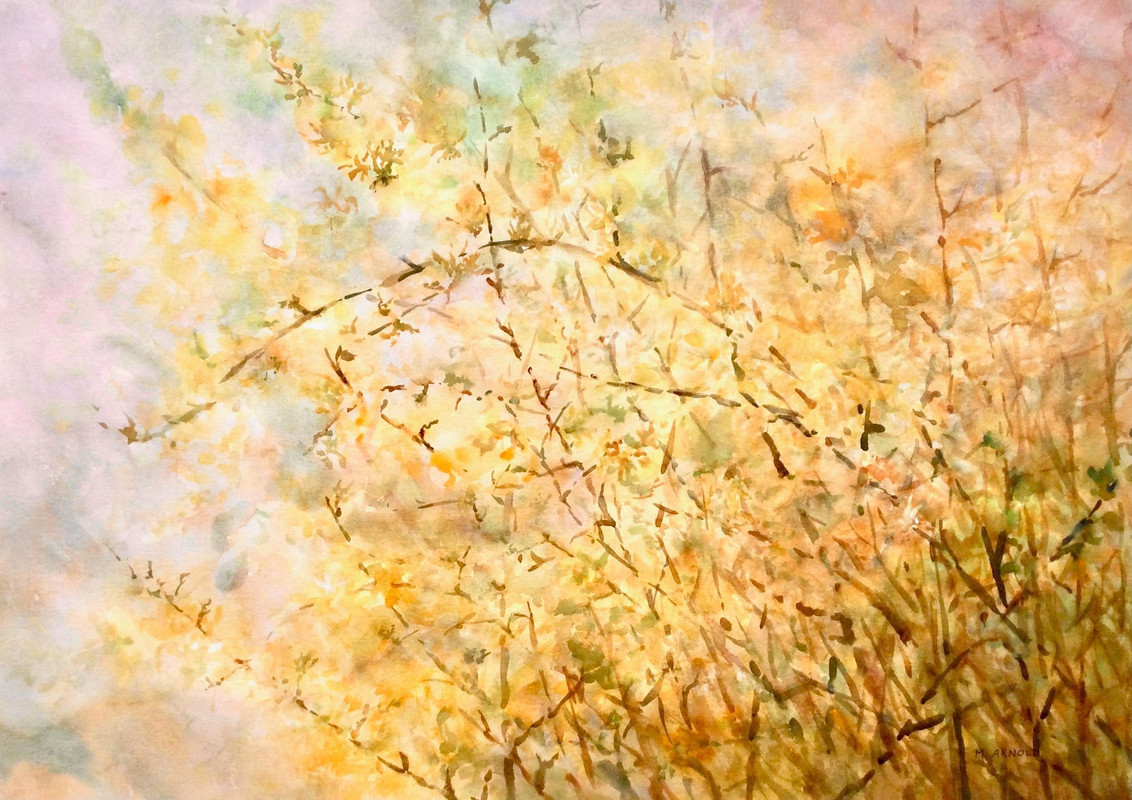 Forsythias Say Spring