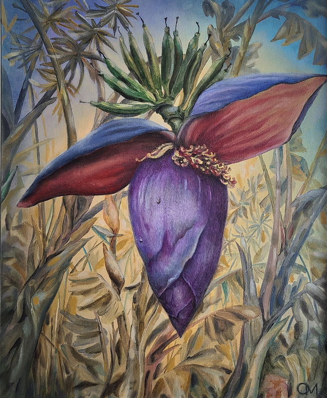 Banana Flower