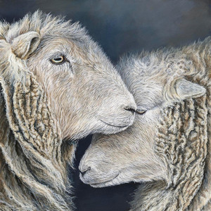 Douceur entrem&ecirc;l&eacute;e