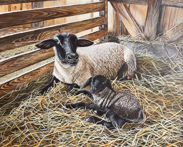 Tricot&eacute; serr&eacute;