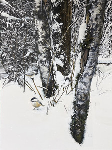 Winter Forest