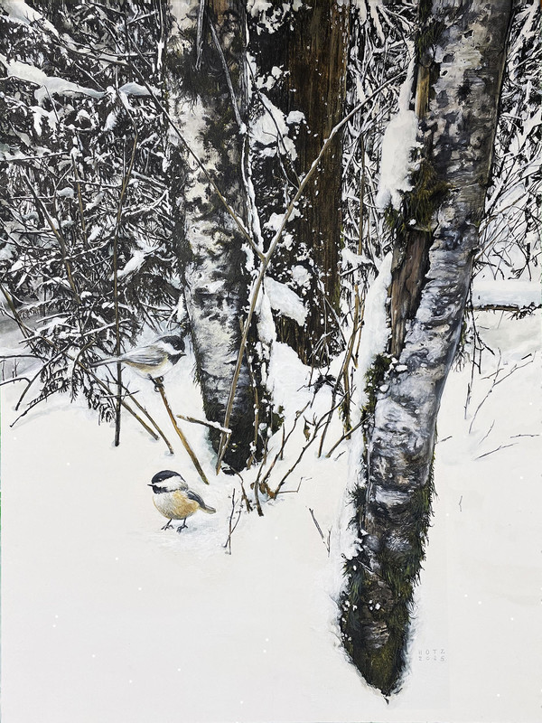Winter Forest