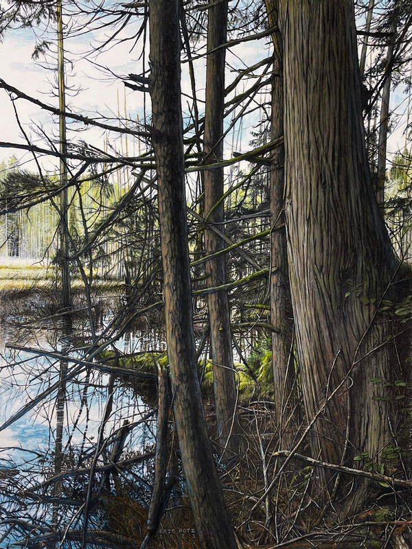 Beaver Pond