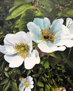 FLower Bee