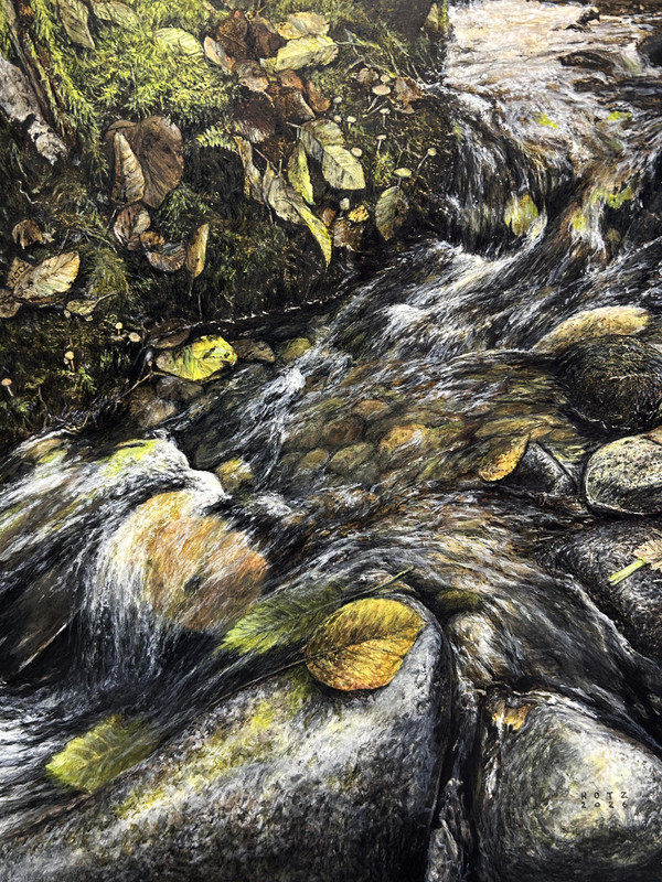Forest Brook