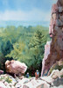 View #1