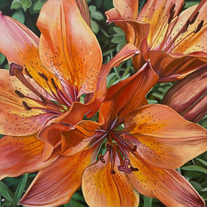 Tiger Lilies