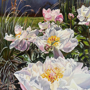 Turner Valley Peonies