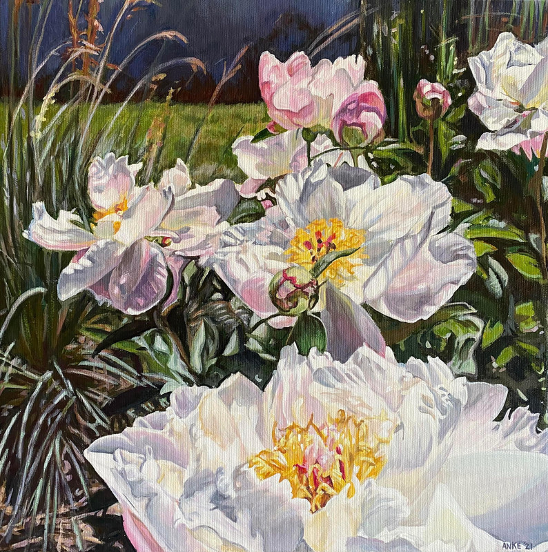 Turner Valley Peonies
