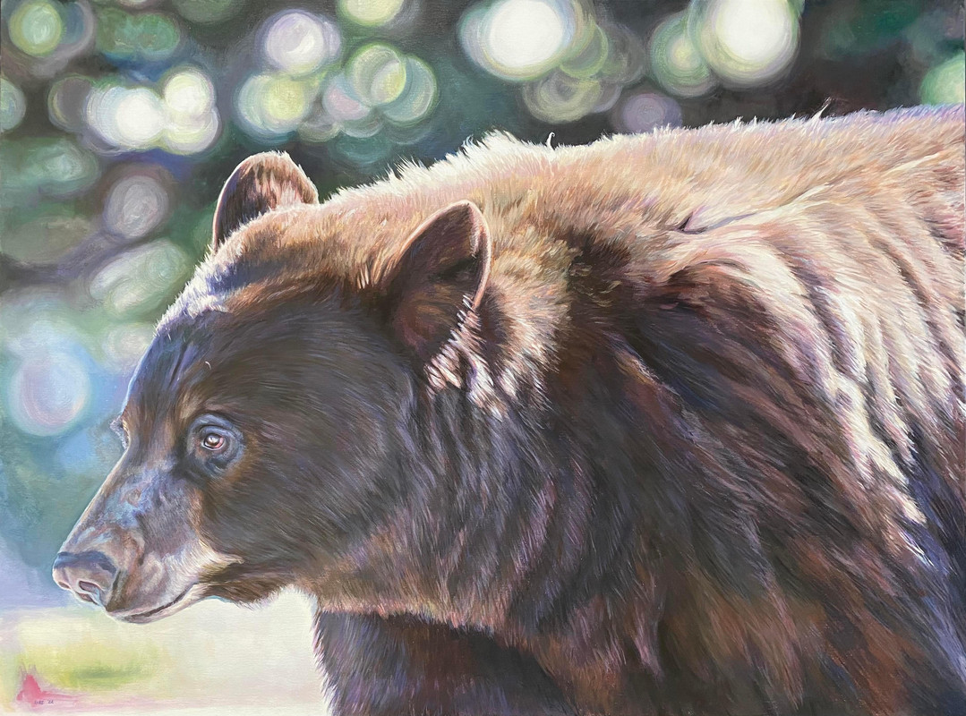 Bear