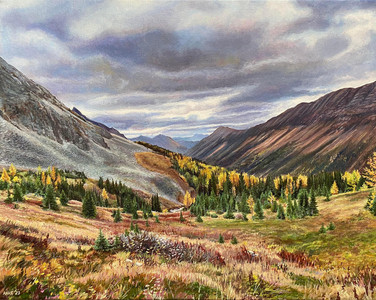 Ptarmigan Cirque Meadow