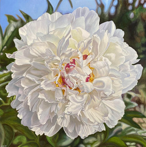 White Peony