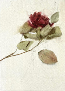 ਗੁਲਾਬ Gulab (Rose)