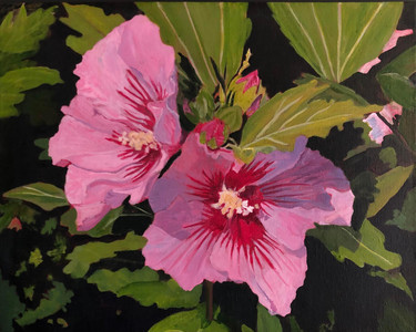 Rosy Rose of Sharon