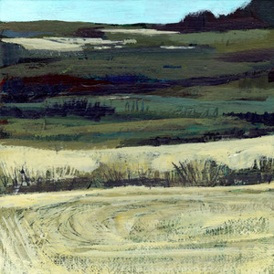 Farm Layers