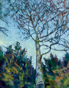 Skyward Birch