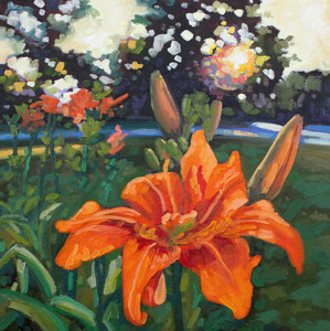 Dad's Tiger Lilies