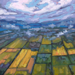 Rural Patchwork