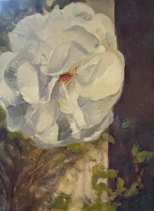 Rose White