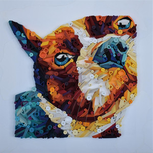 Boston Terrier