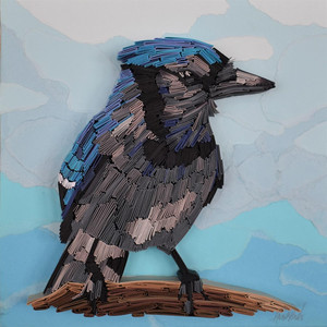 Blue Jay
