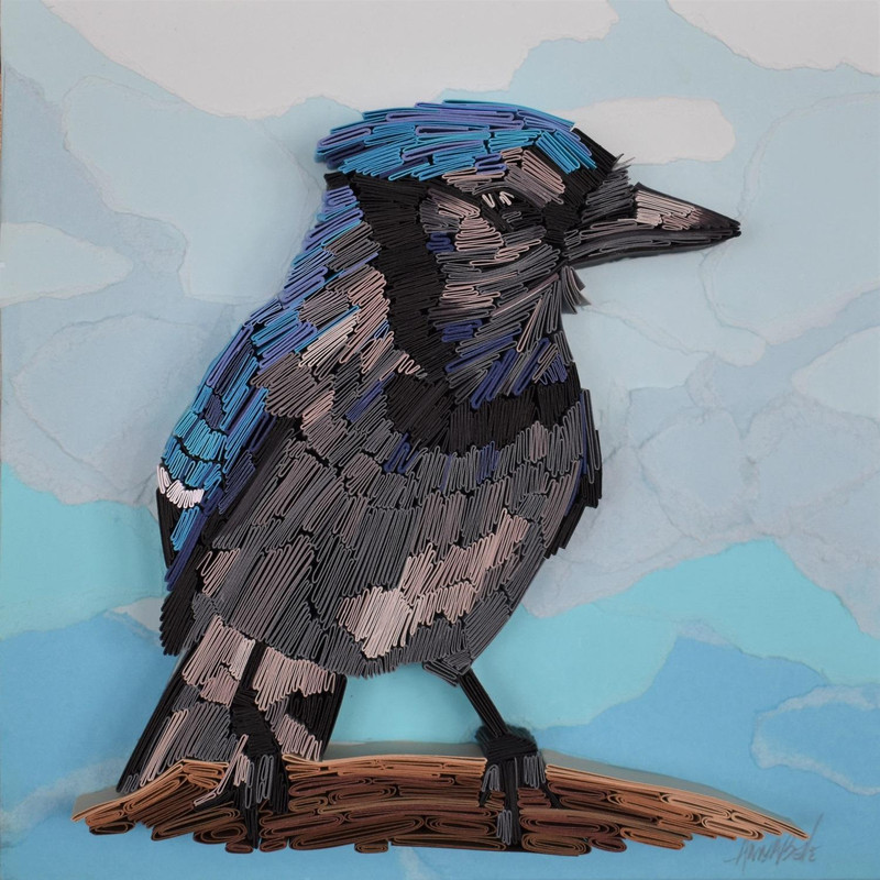Blue Jay