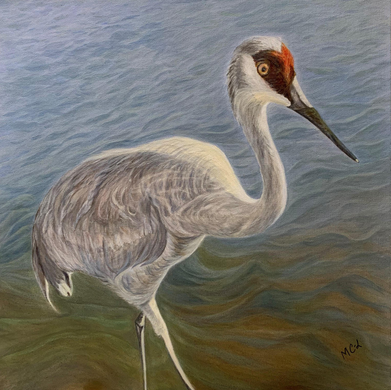 Sandhill Crane Pose