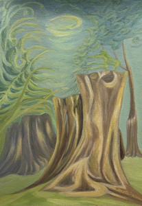We Three Stumps at Maple Grove Park