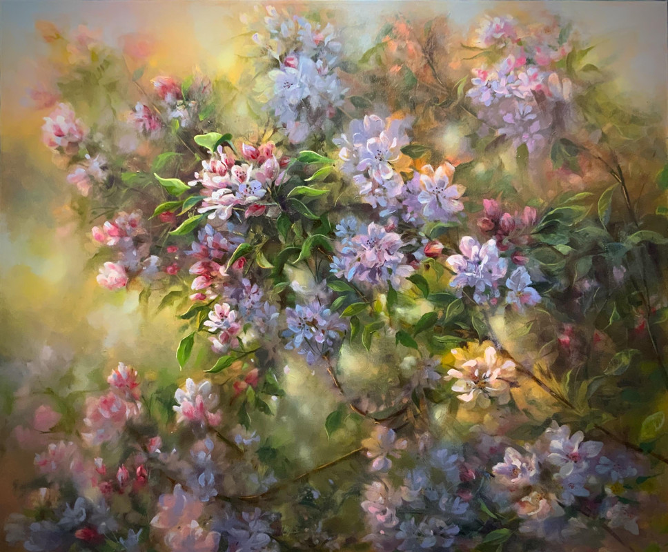 Apple Blossoms