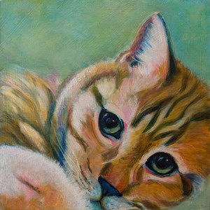 Cat...