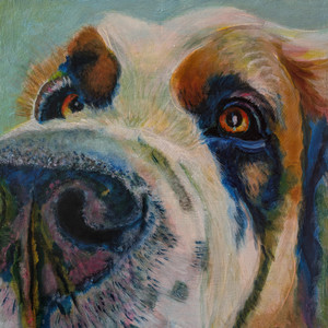 and Dog