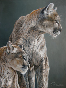Sunrise Alert - Male & Female Cougar Pair Portrait