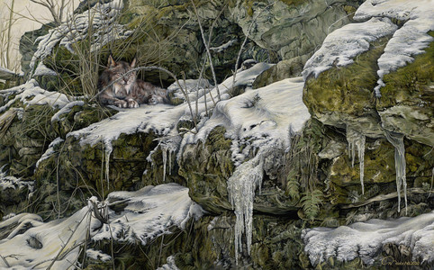 Escarpment Limestone Nook with Lynx Preparing for Winter Hunt