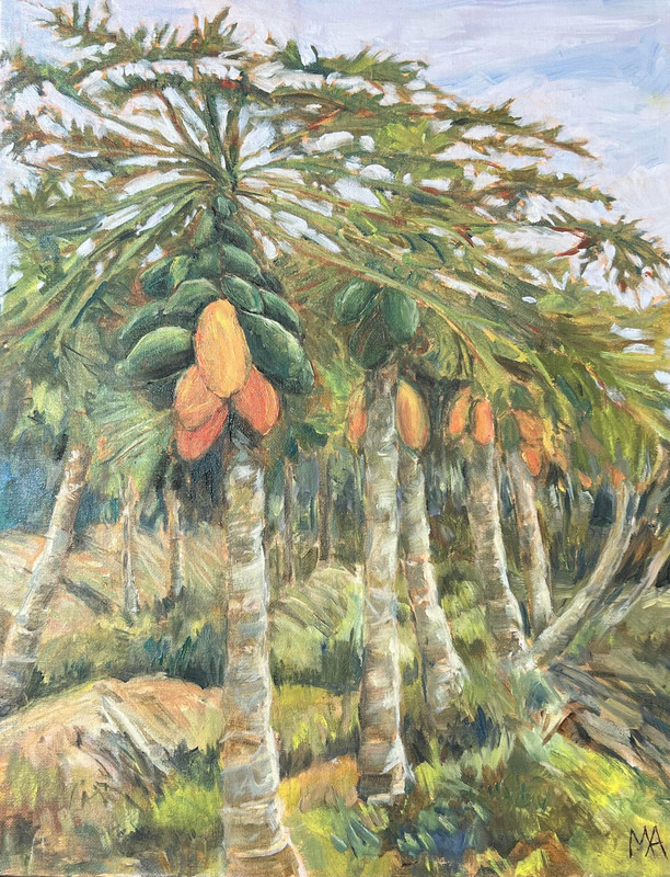 Papaya Grove