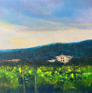 Civitella Vineyard
