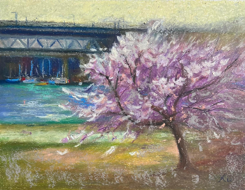 Blossoms by the Bridge
